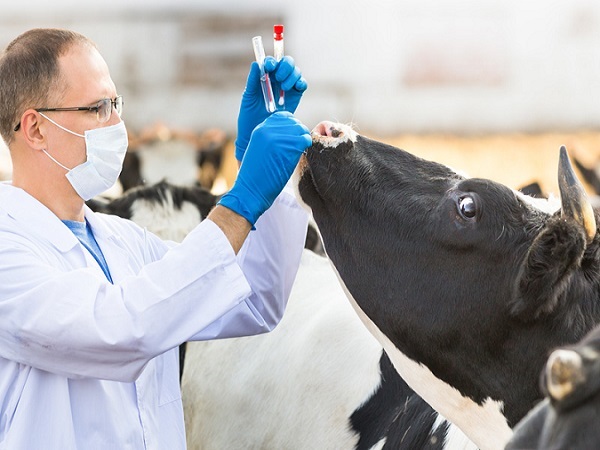 En plena pandemia: un veterinario está a cargo de Epidemiología de la provincia