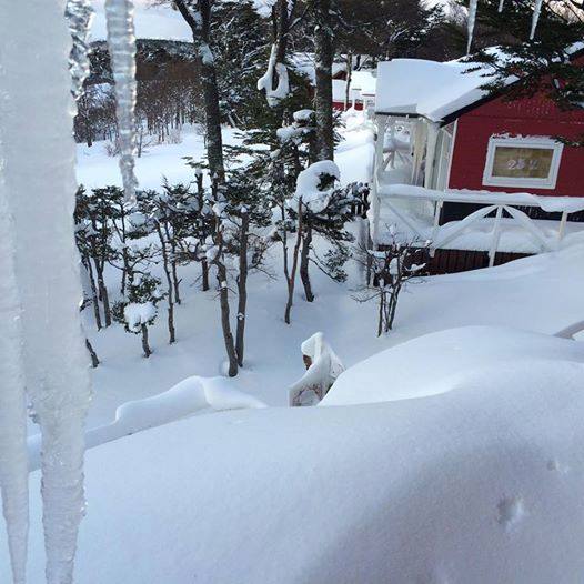 cabana nieve