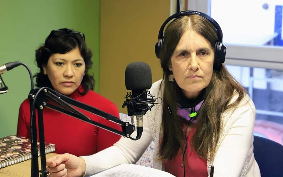 CONVENCIÓN ESTATUYENTE. El viernes asume Mónica Hoyos en reemplazo de Viviana Remy