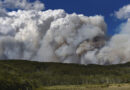 EMERGENCIA AMBIENTAL. La Legislatura declaró la crítica situación por incendios forestales