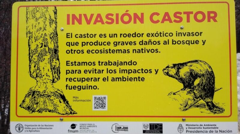 invasion castor