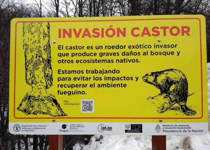 invasion castor