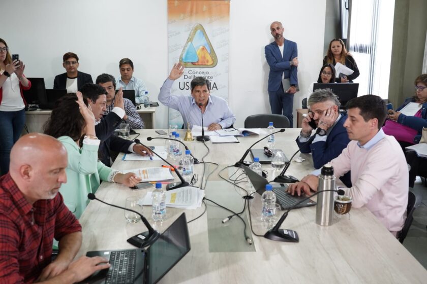 VICEINTENDENCIA Y AUMENTO DE CONCEJALES. Incorporados por mayoría al régimen electoral