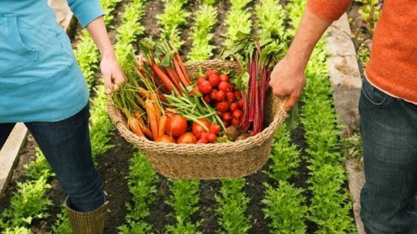 El costo de los alimentos dificulta sostener una dieta equilibrada