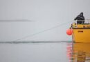 pesca artesanal beagle