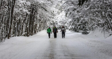 Parque Nacional Tierra del Fuego invierno Turismo en Ushuaia 2 1