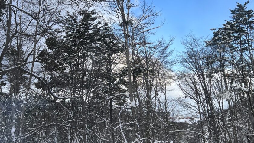 PRONÓSTICO. Continuarán las nevadas y los fuertes vientos en Ushuaia