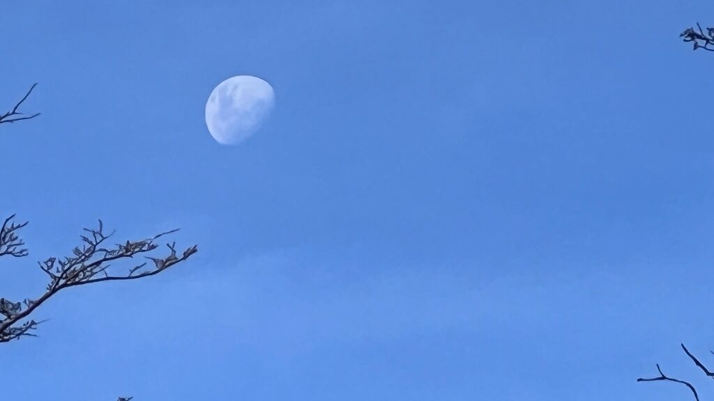 Un fin de semana de bajas temperaturas y posibles heladas