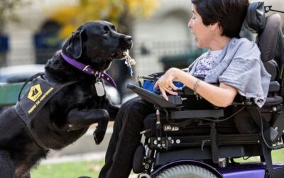 Nueva sede patagónica para entrenamiento de perros de asistencia