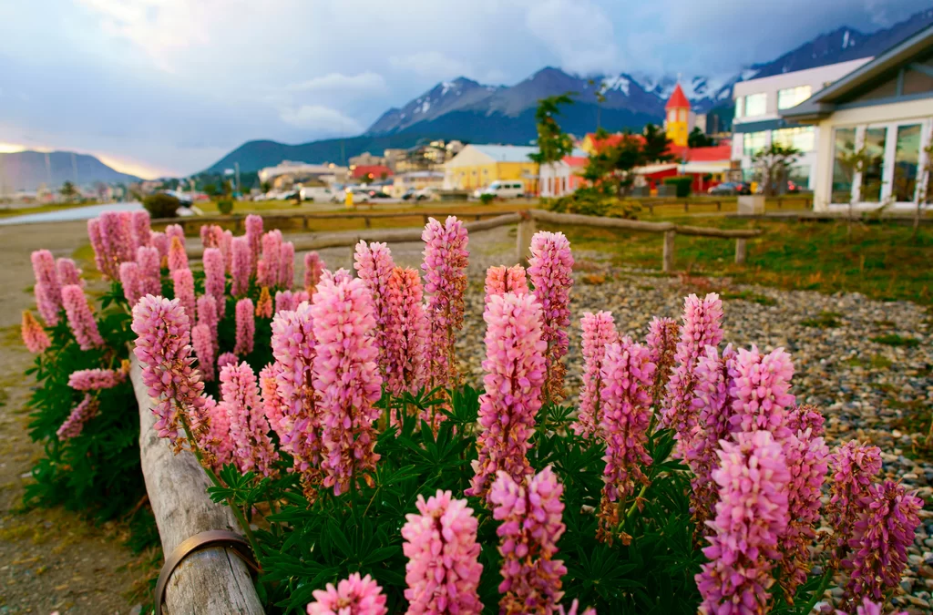 Habrá buen tiempo durante el fin de semana largo en Ushuaia 