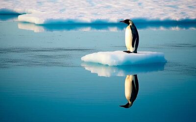 LA FUNDACIÓN DE FRANCIA EN EL CANAL BEAGLE (Por Alejandro Rojo Vivot)