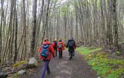 Brindan recomendaciones para practicar senderismo en Tierra del Fuego