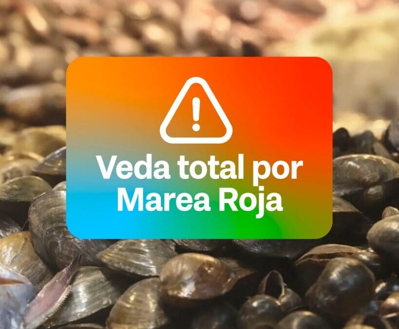 Por Marea Roja: Se declara veda total de moluscos en toda la provincia