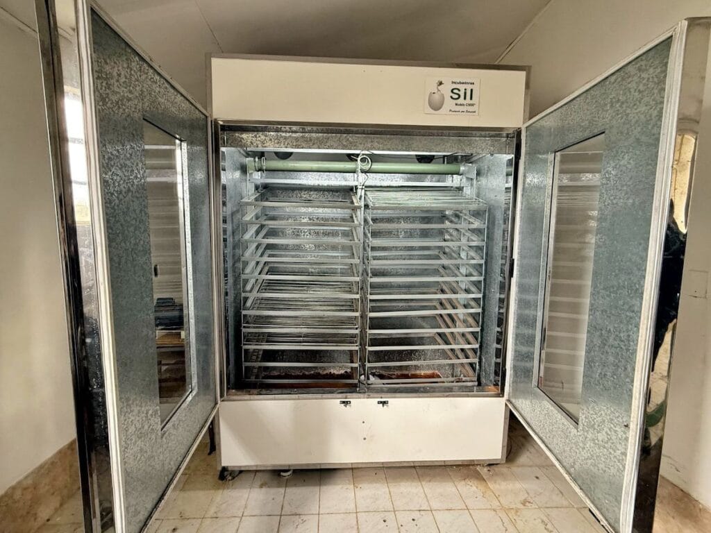 incubadora 1