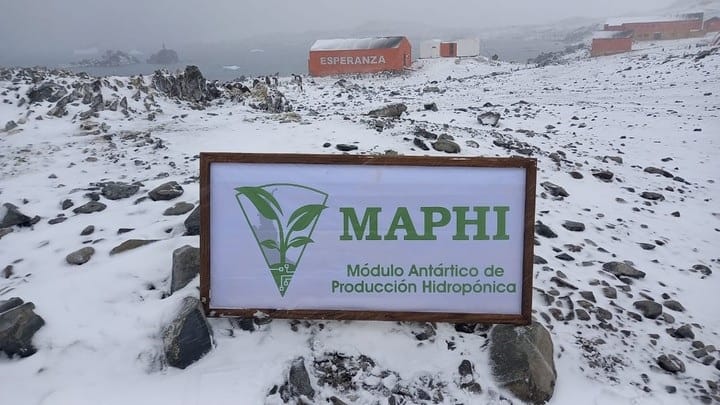 Argentina logró producir verduras en la Antártida