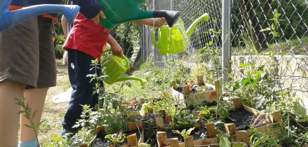 Huertas escolares: Un programa para reforzar la educación ambiental 