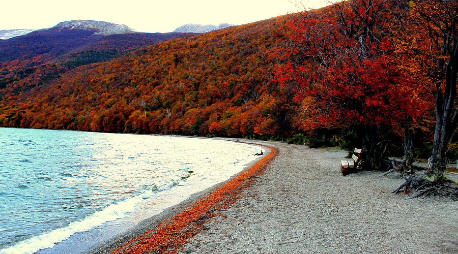 Enfoque en la sostenibilidad para el Parque Nacional Tierra del Fuego