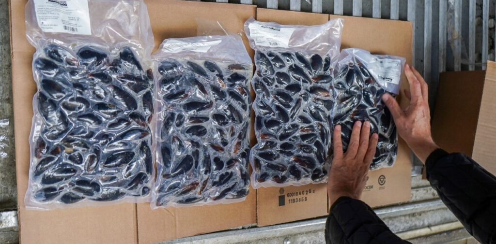 Pescadores de Almanza denuncian que NewSan “nos está llevando puestos”
