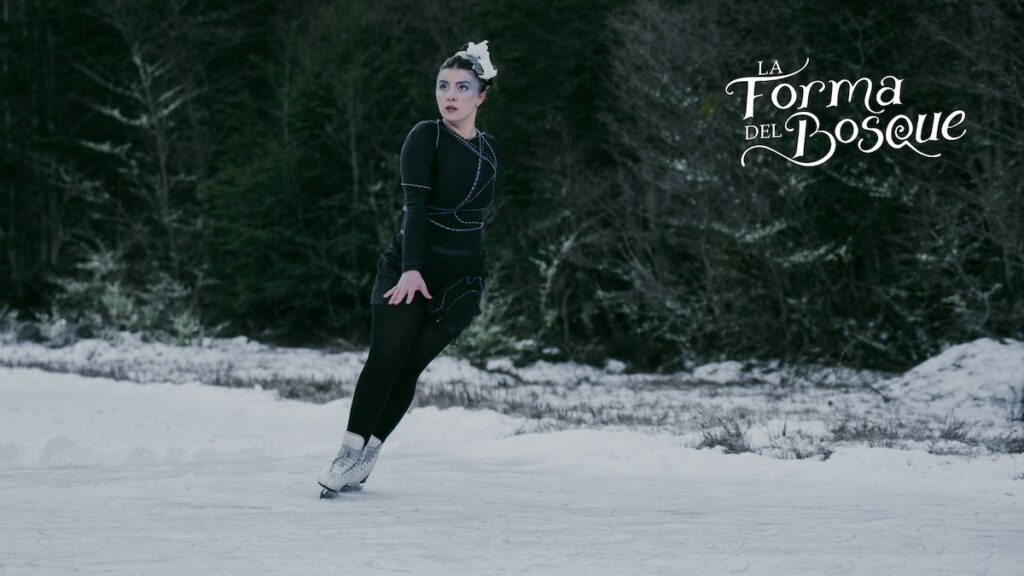 El bosque fueguino toma forma sobre el hielo